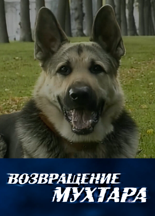 Постер сериала